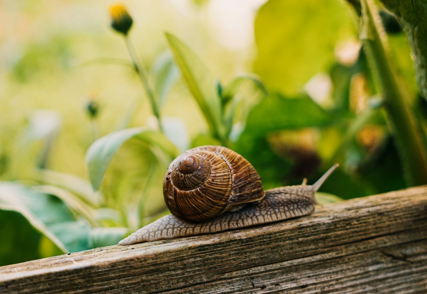 How Rainwater Harvesting Enhances Sustainable Living